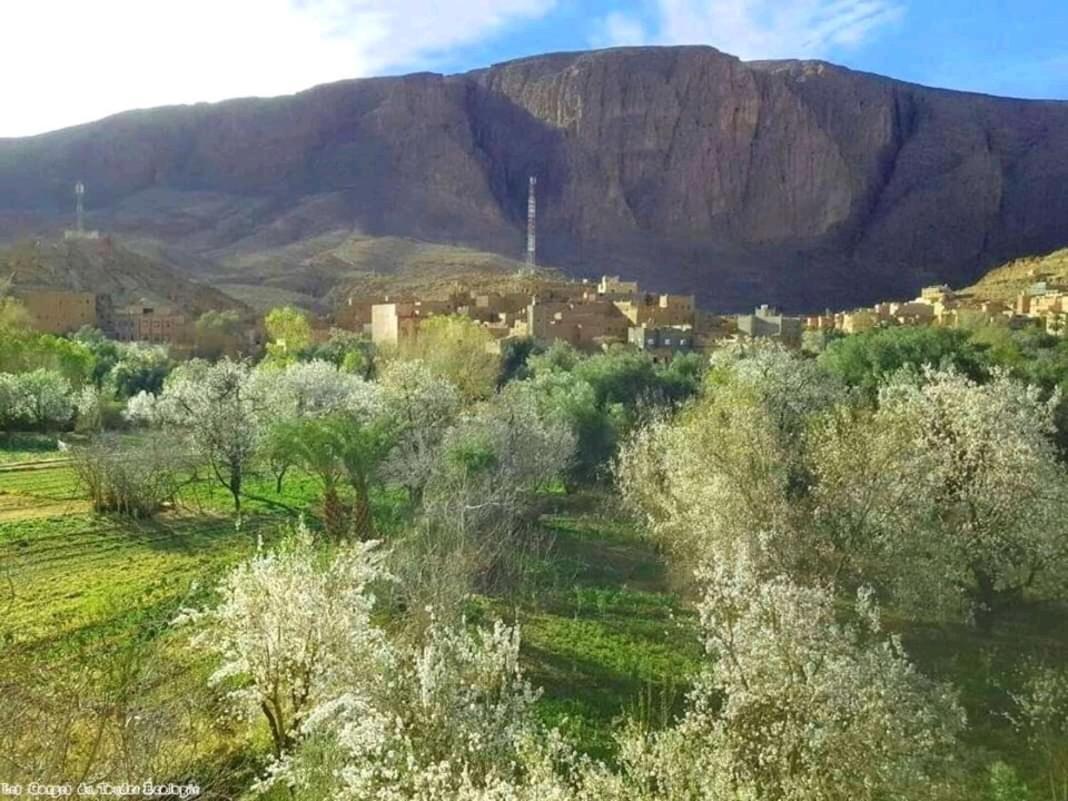 Dar Almanadir Todra Hostel Aït Baha Екстериор снимка